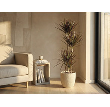 Salon avec dracéna dans un cache-pot côtelé à côté d'un fauteuil et d'une table d'appoint