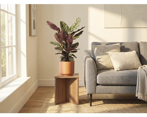 Salon avec plante en pot de céramique sur un tabouret en bois à côté d'un canapé
