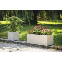 Deux bacs à plantes cubiques plantés dans le jardin