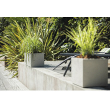 Pots de fleurs décoratifs avec plantations dans le jardin.