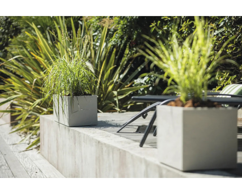 Pots de fleurs décoratifs avec plantations dans le jardin.