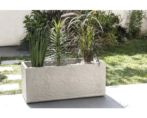 Rechteckiger Pflanzkasten mit verschiedenen Pflanzen im Außenbereich.