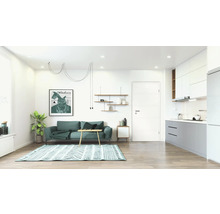 Espace de vie lumineux avec canapé, tapis, étagères et kitchenette