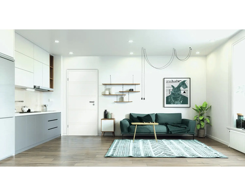 Salon avec canapé, tapis, étagères et kitchenette dans un design clair et spacieux.