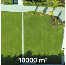 Luftaufnahme eines 10000 Quadratmeter großen Gartens mit Rasenfläche