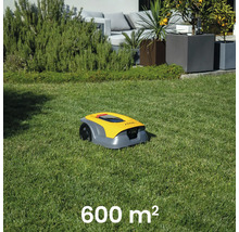 Robot tondeuse jaune sur une pelouse de 600 mètres carrés