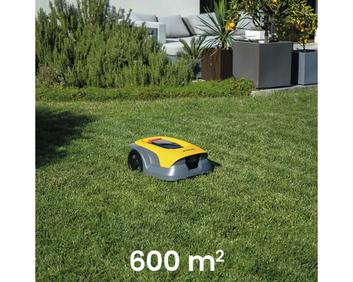 Robot tondeuse jaune sur une pelouse de 600 mètres carrés