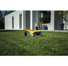 Robot tondeuse à gazon jaune sur une pelouse devant une maison