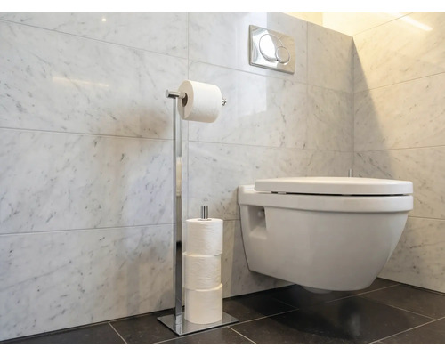 Salle de bains avec toilettes et porte-papier toilette en métal