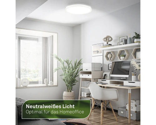 Arbeitszimmer mit neutralweißem Deckenlicht für das Homeoffice.