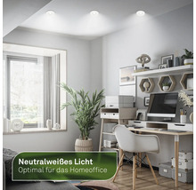 Bureau avec bureau, étagères, plante d'intérieur et plafonniers LED intégrés