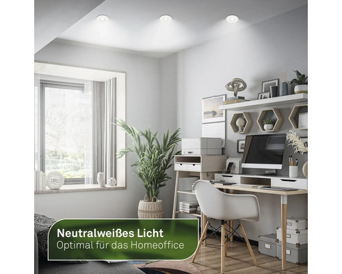 Bureau avec bureau, étagères, plante d'intérieur et plafonniers LED intégrés