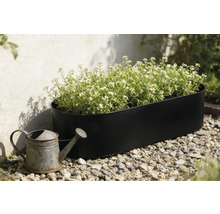 Jardinière noire avec des plantes à fleurs blanches et un arrosoir en zinc dans le jardin.