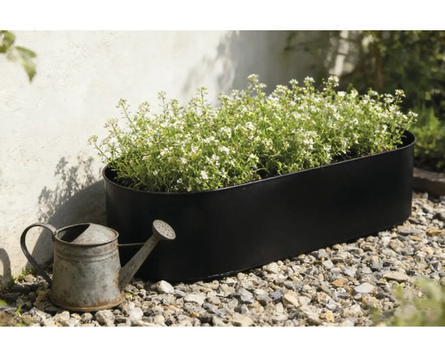 Jardinière noire avec des plantes à fleurs blanches et un arrosoir en zinc dans le jardin.