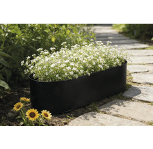 Jardinière noire avec des fleurs blanches sur un chemin de jardin.