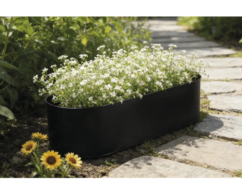 Jardinière noire avec des fleurs blanches sur un chemin de jardin.