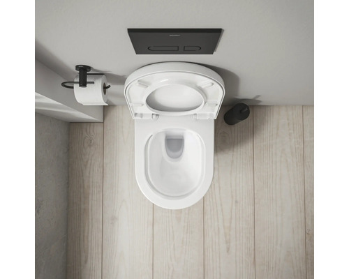 Aufnahme von oben einer Toilette mit geöffnetem Deckel, Toilettenpapierhalter und Spültaste.