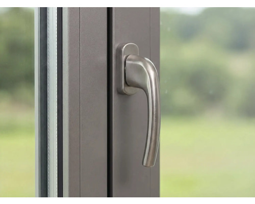 Fenster mit Fenstergriff