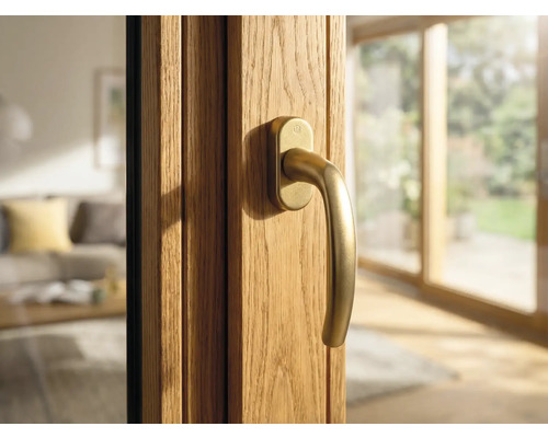 Detailansicht einer Holzhaustür mit Griff