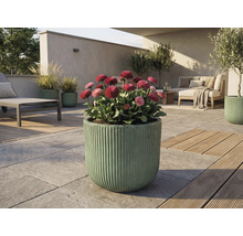 Espace extérieur avec des marguerites en fleurs dans une jardinière cannelée