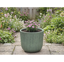 Pot de fleurs avec œillets sur un chemin de jardin