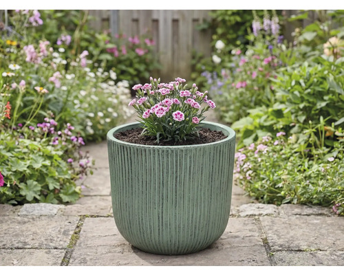 Pot de fleurs avec œillets sur un chemin de jardin