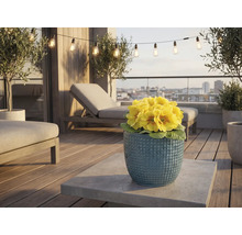 Terrasse avec mobilier de jardin, guirlande lumineuse et primevères jaunes dans un pot