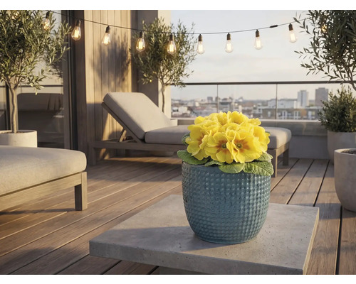 Terrasse avec mobilier de jardin, guirlande lumineuse et primevères jaunes dans un pot