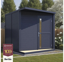 Abri de jardin moderne avec toit plat et porte avec fenêtre.