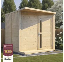 Abri de jardin en bois avec porte et fenêtre