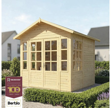 Abri de jardin en bois avec fenêtres et double porte
