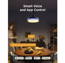 Smarte Pendelleuchte über Esstisch mit Sprach- und App-Steuerung. Logos von Matter, Govee Home App, Amazon Alexa und Google Home.