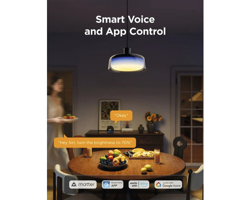 Smarte Pendelleuchte über Esstisch mit Sprach- und App-Steuerung. Logos von Matter, Govee Home App, Amazon Alexa und Google Home.