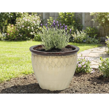 Pot de fleurs en céramique avec lavande dans le jardin