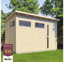 Abri de jardin en bois avec fenêtres et porte