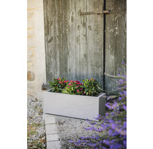 Rechteckiger Pflanzkasten mit rosa Blüten vor einer Holztür