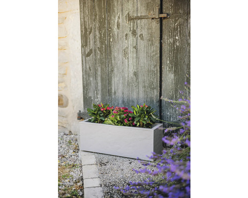 Rechteckiger Pflanzkasten mit rosa Blüten vor einer Holztür