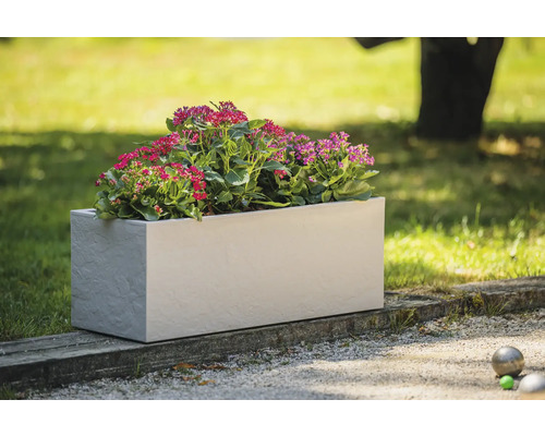 Rechteckiger Pflanzkasten mit blühenden Pflanzen im Garten.