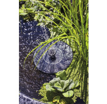 Pompe de bassin solaire dans le bassin de jardin avec plantes