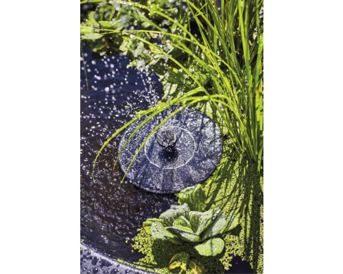 Pompe de bassin solaire dans le bassin de jardin avec plantes