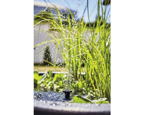 Bassin de jardin avec fontaine et plantes aquatiques