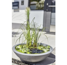 Bassin de jardin avec fontaine et plantation dans une jardinière grise