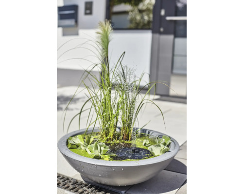 Bassin de jardin avec fontaine et plantation dans une jardinière grise