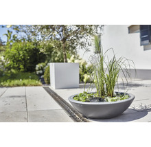 Scène de jardin avec une jardinière ronde avec jeu d'eau, entourée de plantes vertes et d'un fossé de drainage.