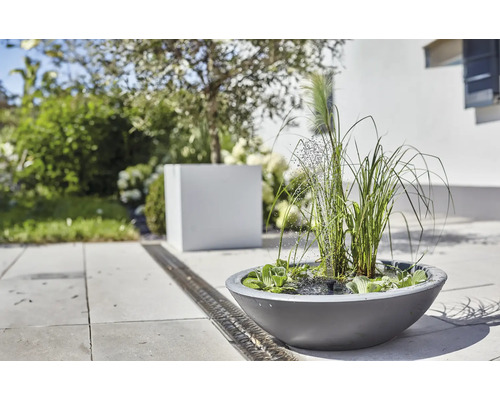 Scène de jardin avec une jardinière ronde avec jeu d'eau, entourée de plantes vertes et d'un fossé de drainage.