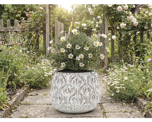 Marguerites dans un pot de fleurs orné sur un chemin de jardin