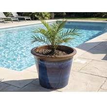 Palmier dattier dans un pot en céramique bleue près de la piscine