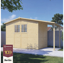 Abri de jardin en bois avec double porte, fenêtres et auvent