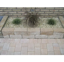 Jardinière surélevée avec plantes et pierres dans le jardin