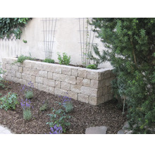 Jardin avec parterre surélevé en pierre et plantes